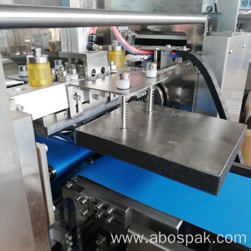 Automatic Frozen Food Packing Machine for dumplings